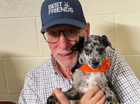 Ira Shankman wearing a Best Friends hat and holding Sonny the puppy, who is wearing hos orange bandanna