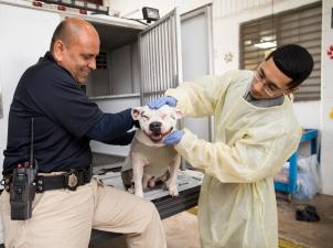 Palm Valley Animal Society intake with two people and a dog