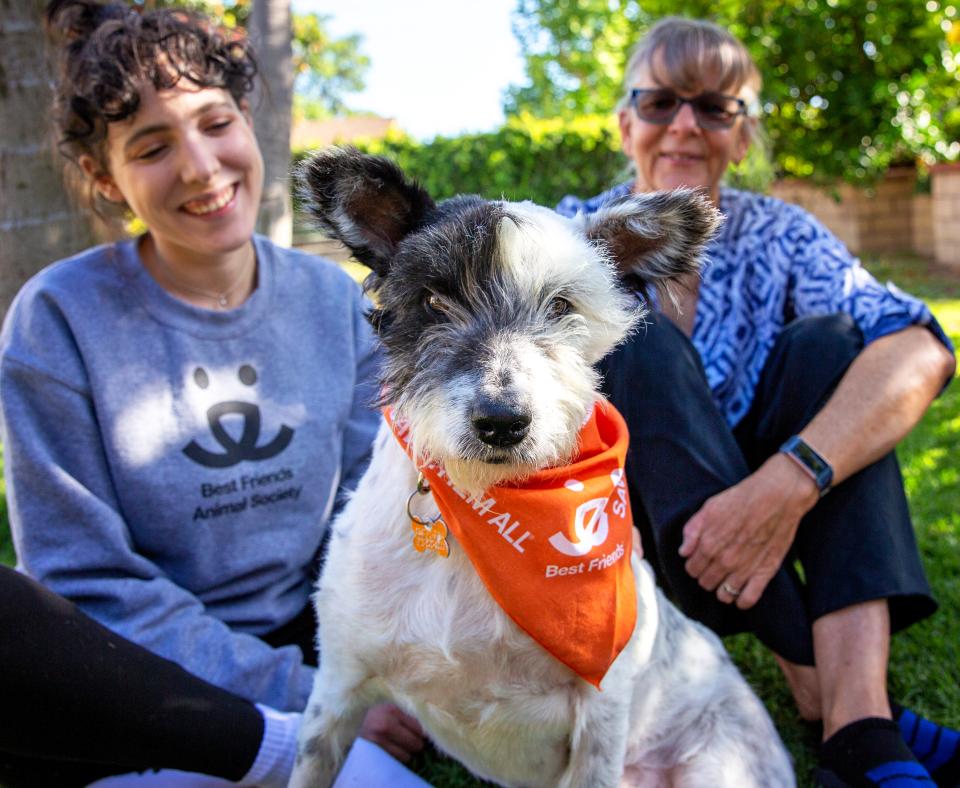 Two smiling people sitting in a yard with a happy dog