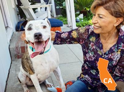 Woman sitting with dog on porch