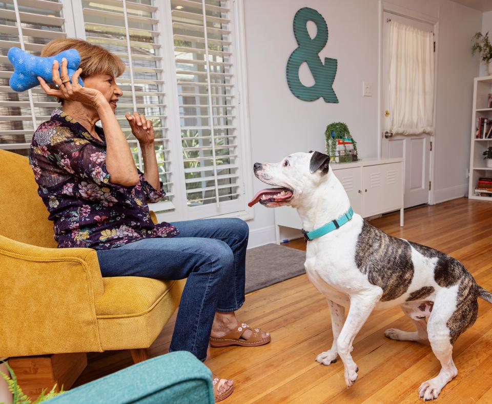 Person playing fetch with a dog in a home