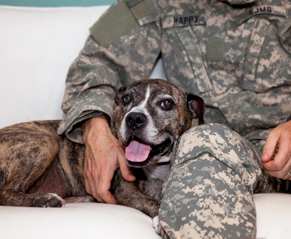 Dog lying next to a person wearing military uniform whose arm is around the dog