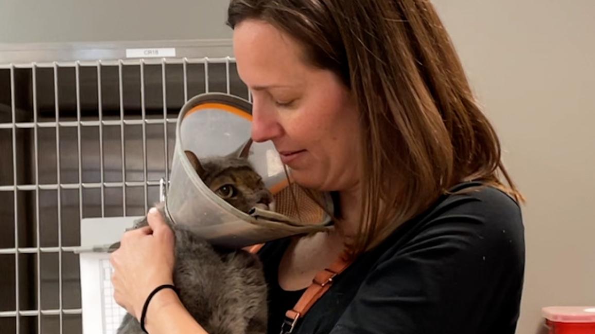 Dr. Christina Boekhout holding Stone Cold the cat who is wearing a protective e-collar