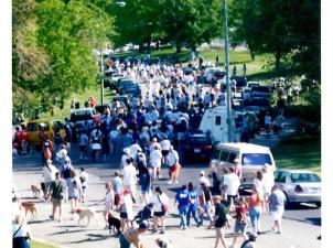 Large group of people walking in Strut Your Mutt