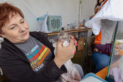 Person bottle-feeding a neonatal kitten at the Los Angeles Super Adoption