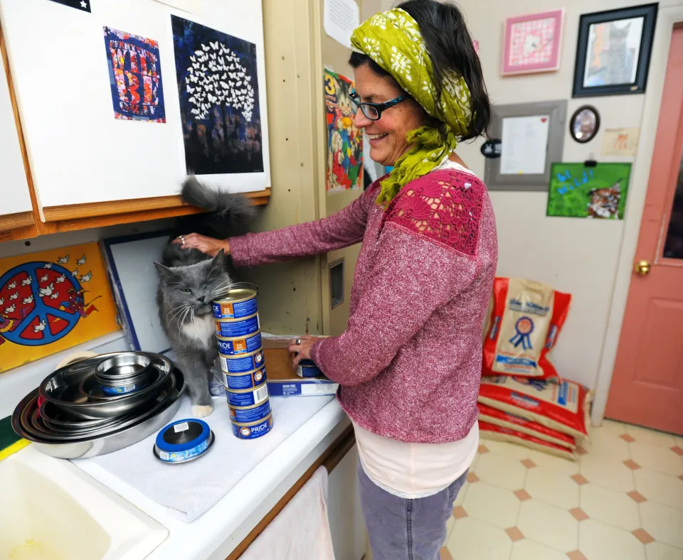 Smiling person feeding a cat in a kitchen