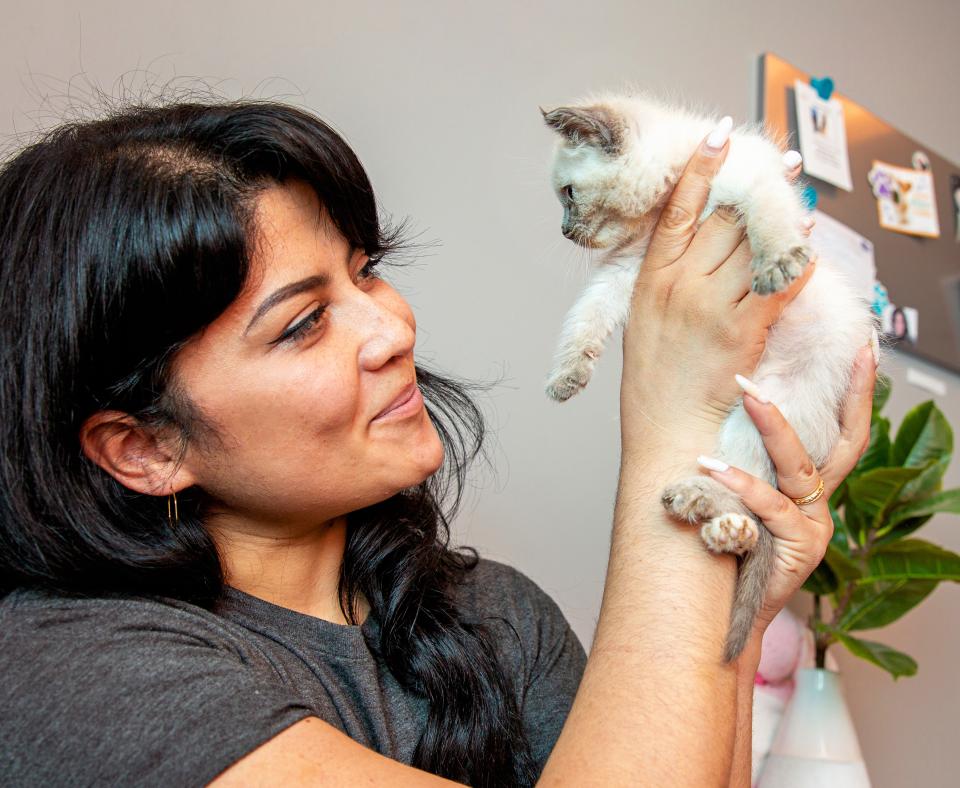 Smiling person holding a Siamese-looking kitten