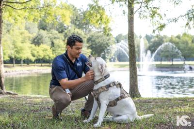 Veteran squatting down to pet a dog in a harness outside in front of a water fountain