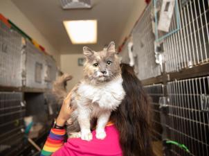 Person with a cat on her shoulder walking between stainless steel kennels