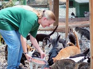 Vintage photo of woman feeding cats at Cat World