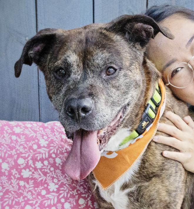 Smiling person with head lying on the back of a happy brindle dog