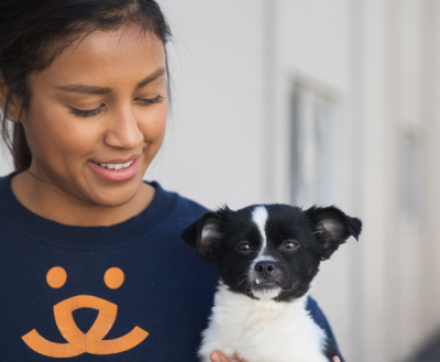 Smiling person looking down at the black and white puppy or small dog she's holding