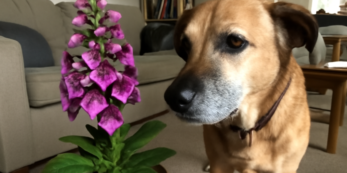 Are Foxglove Toxic to Dogs? Understanding This Beautiful But Deadly Garden Threat