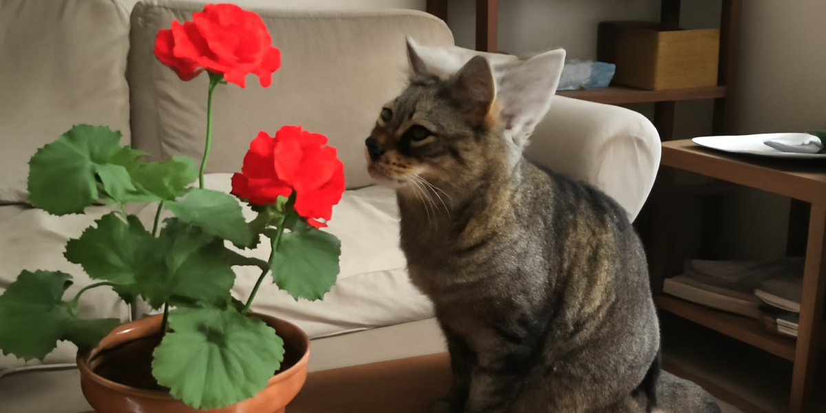 Are Geraniums Toxic to Cats? What You Need to Know