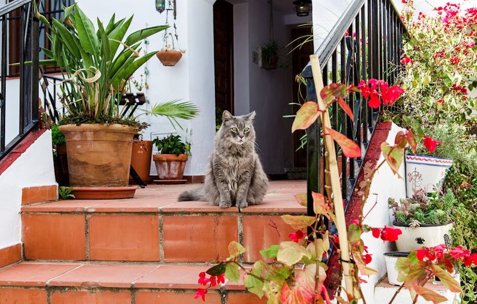 A fluffy gray cat sits on tiled steps surrounded by lush plants and vibrant flowers.