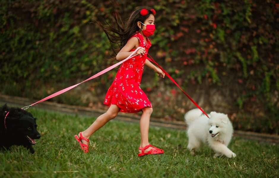 Best Dogs for Kids: 15 Child-Friendly Breeds to Adopt
