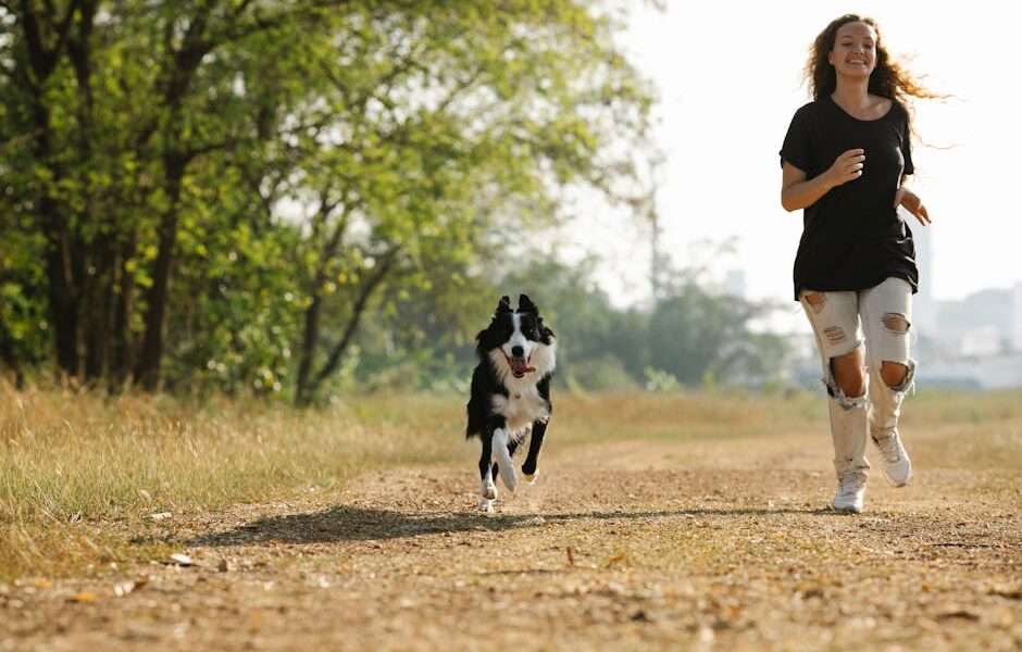 Best Dogs for Runners: 12 Athletic Breeds That Love to Run