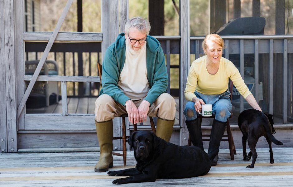Best Dogs for Seniors: 15 Calm, Loyal Companion Breeds