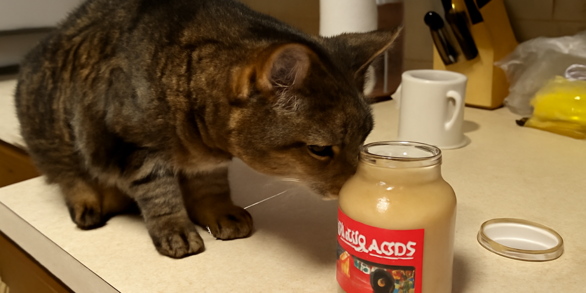 Can Cats Eat Apple Sauce? Safety Guide | Walk Me Home