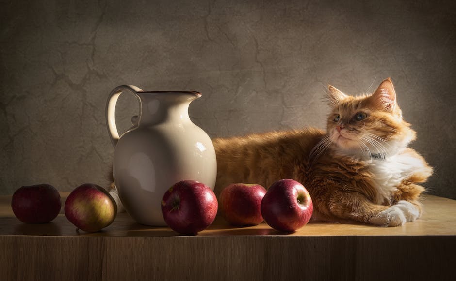 Can Cats Eat Apples? Flesh Only Guide