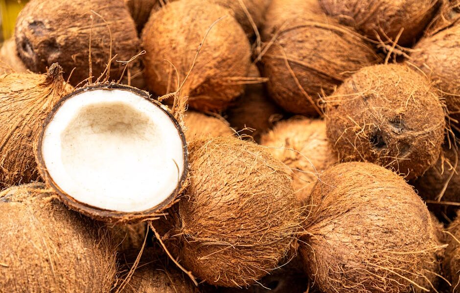 Can Cats Eat Coconut? Oil, Milk & Flesh Safety Guide