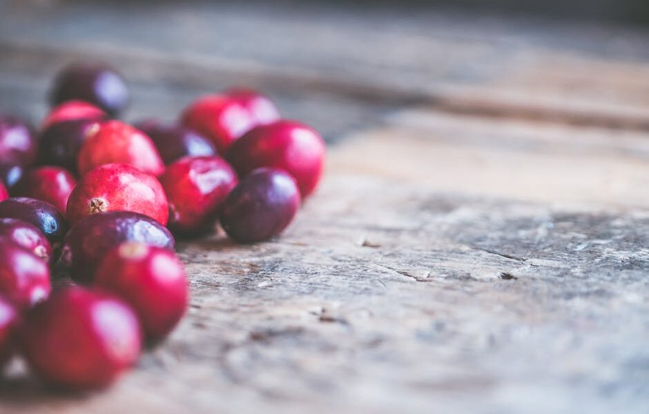 Can Cats Eat Cranberries? UTI Benefits & Safety Guide