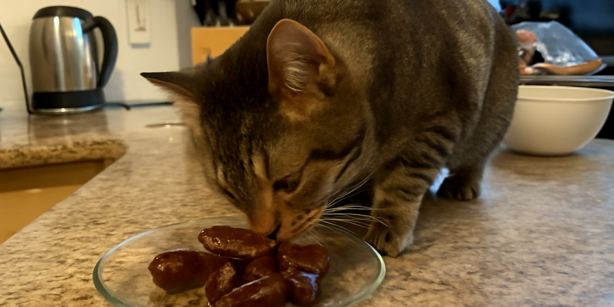 Can Cats Eat Dates? What Every Cat Owner Should Know