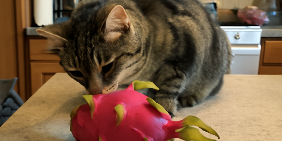Can Cats Eat Dragon Fruit? Safety
