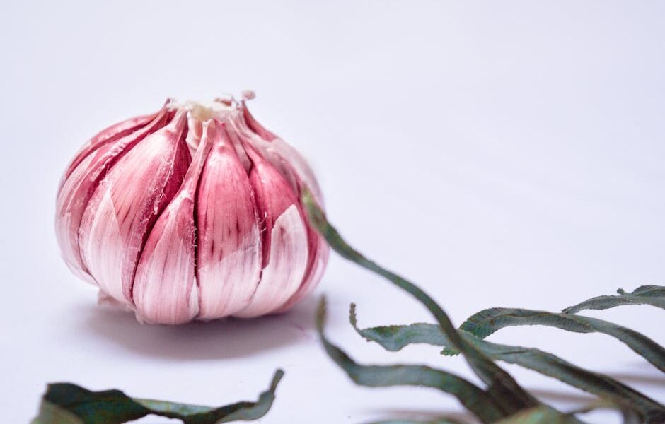 Can Cats Eat Garlic? No — 5x More Toxic