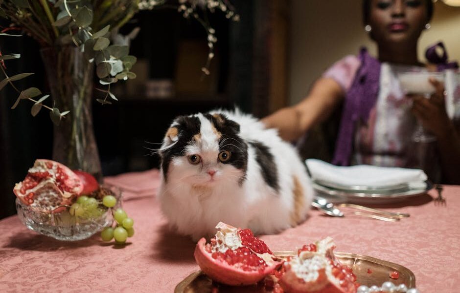 Can Cats Eat Grapes? Not Recommended — Toxic Risk