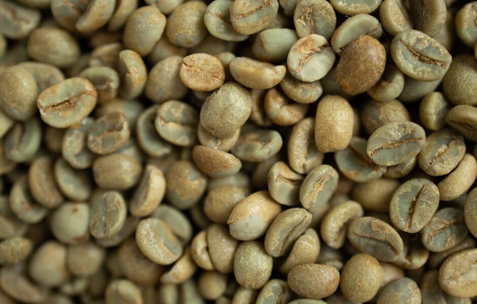Can Cats Eat Green Beans? Benefits & Feeding Guide