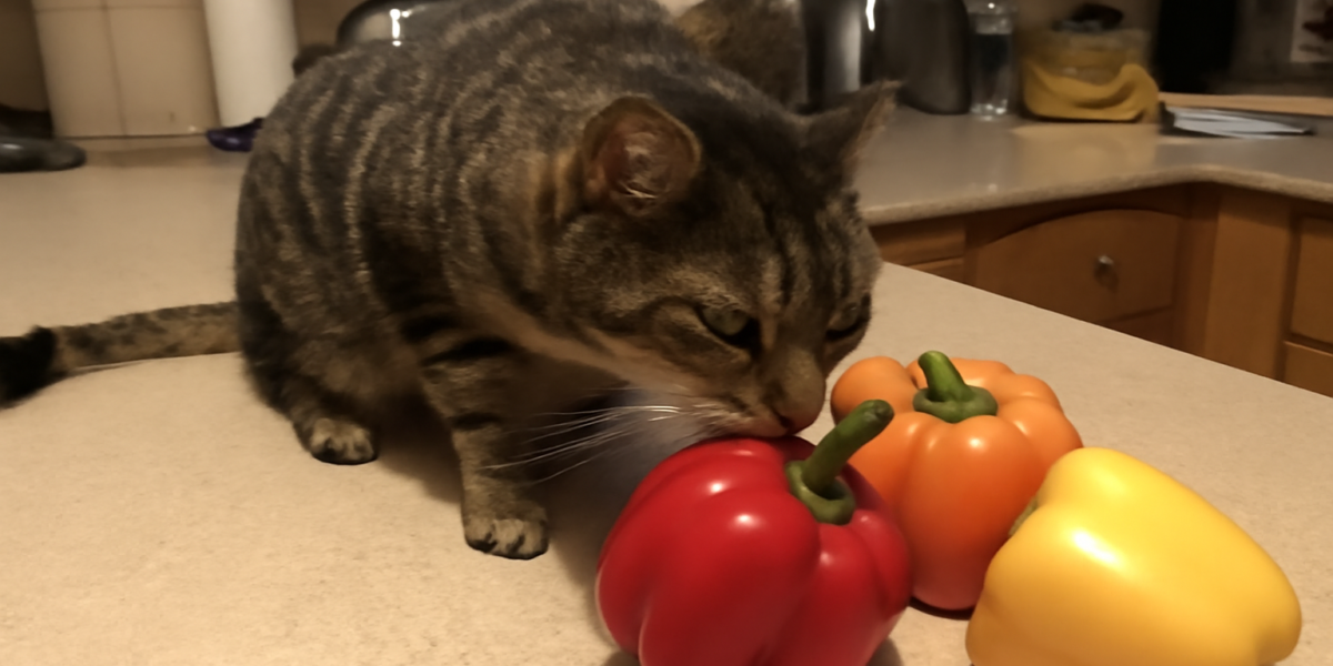 Can Cats Eat Peppers? Safety Guide for Cat Owners