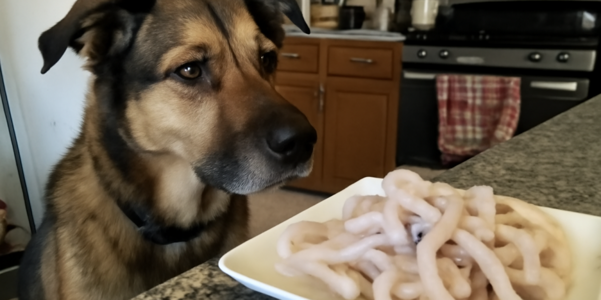 Can Dogs Eat Calamari? What Pet Owners Need to Know