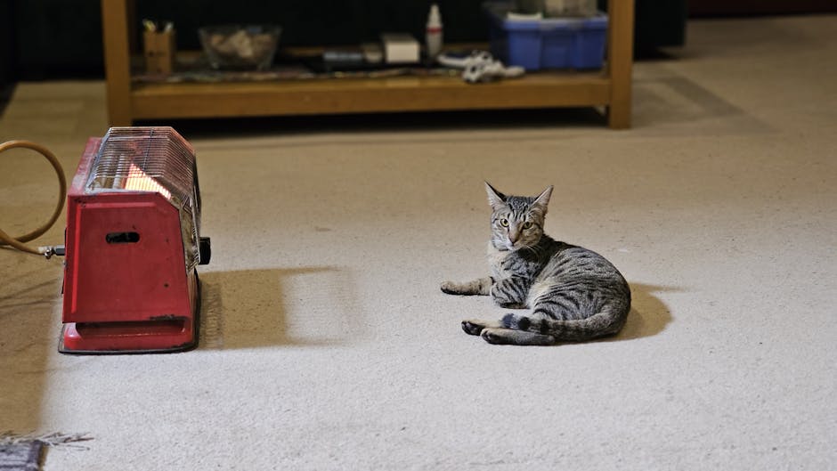 A tabby cat lying comfortably on the floor beside a red heater indoors.