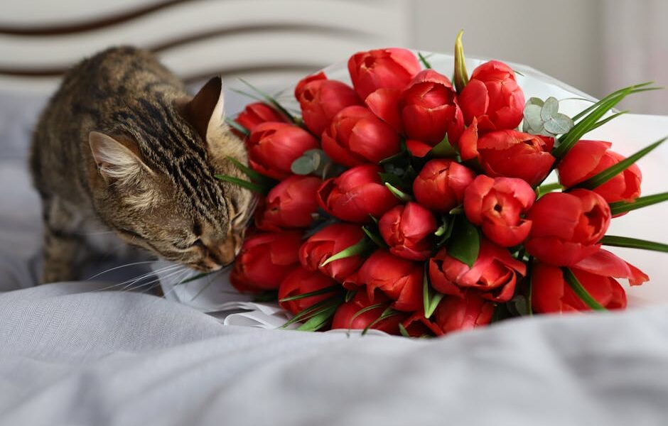 Cat-Safe Flowers: Beautiful Bouquets That Won’t Harm Your Cat