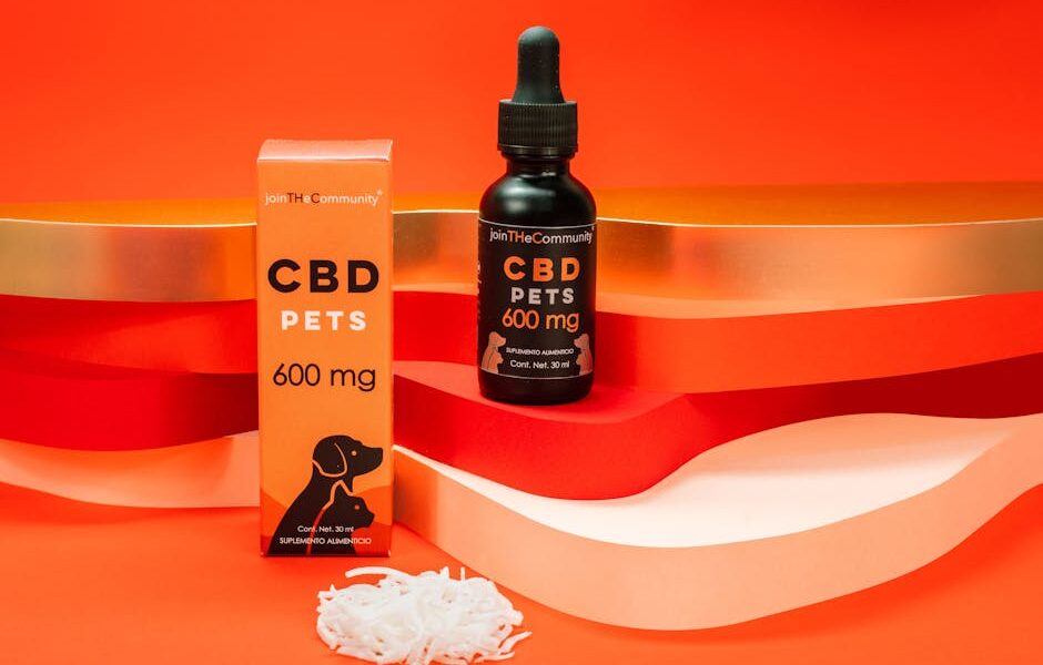 CBD Oil for Cats: Does It Work? Safety, Uses & What Vets Say