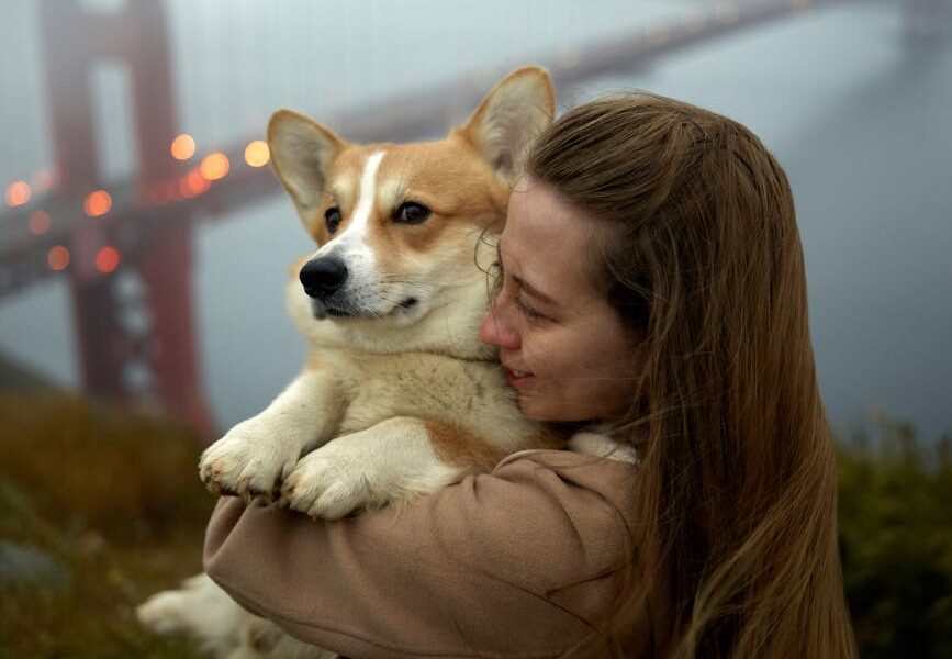 A tender moment between a woman and her corgi near the foggy Golden Gate Bridge.