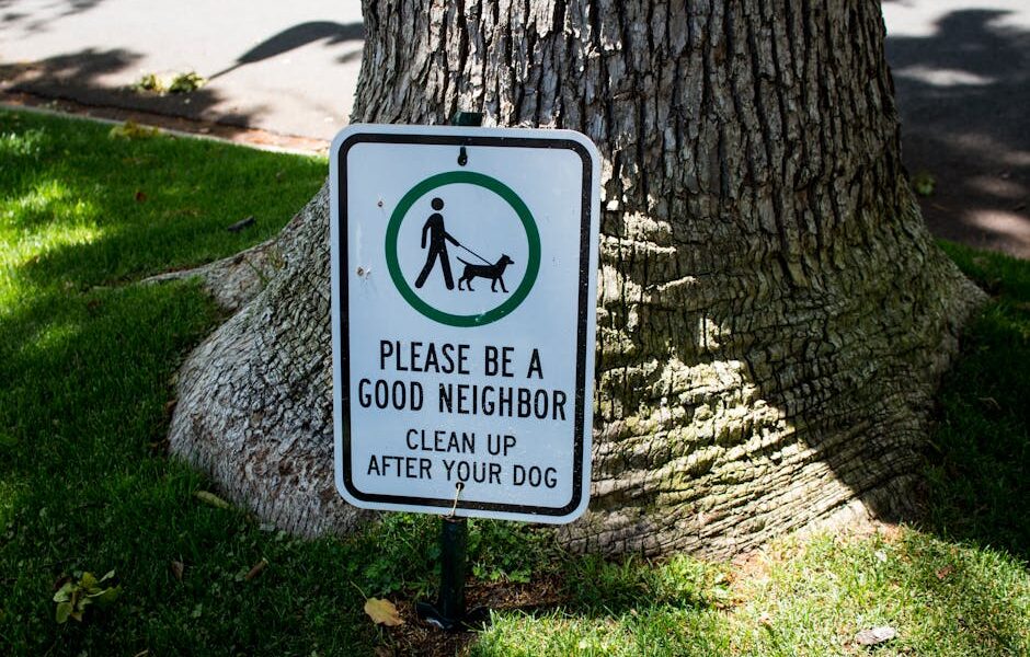 Dog Park Etiquette: Rules for a Safe and Fun Visit