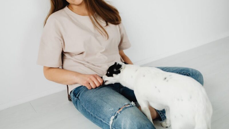 Foster Fail: When You Can’t Give Back Your Foster Pet