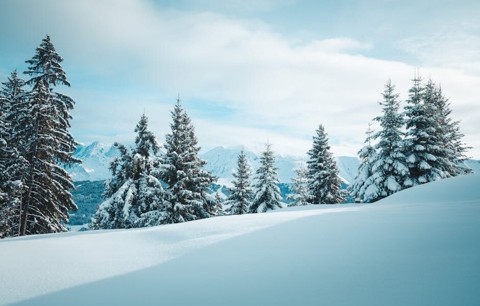 Tranquil winter scene of snow-covered trees in Megève, France amidst the Alps.