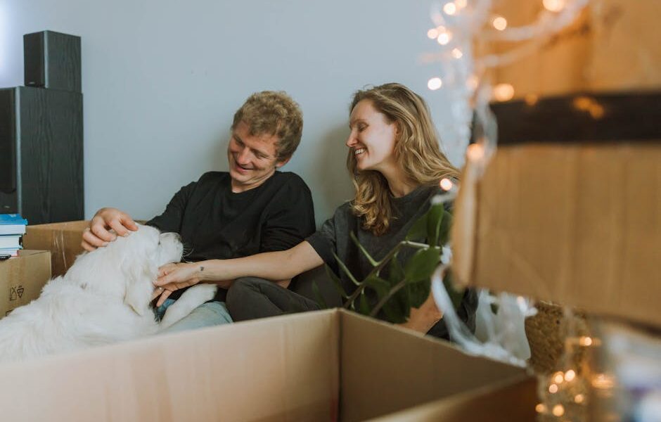 Moving With Pets: Tips for a Stress-Free Relocation