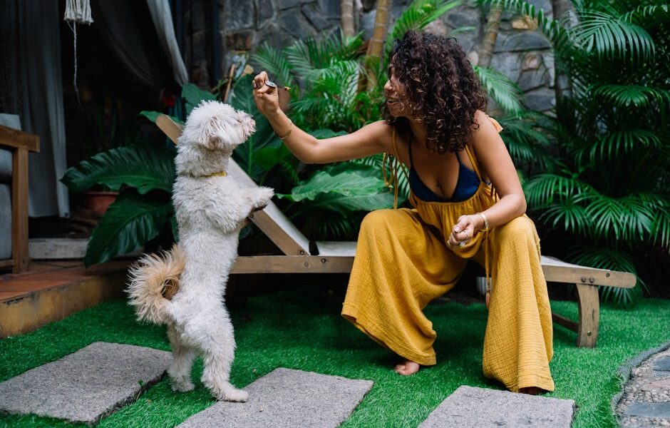 Positive Reinforcement Dog Training: Why It Works & How to Start