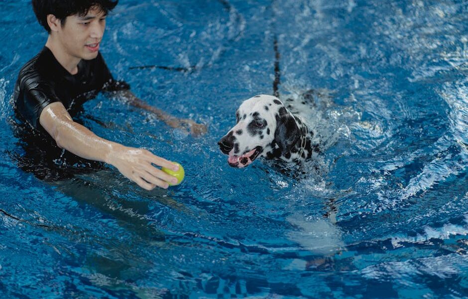 Man training Dalmatian dog in a swimming pool with a ball, emphasizing companionship and exercise.