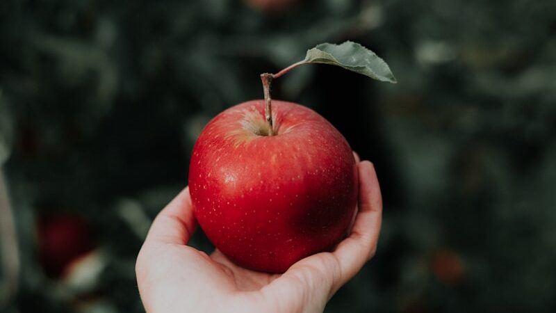 Apples