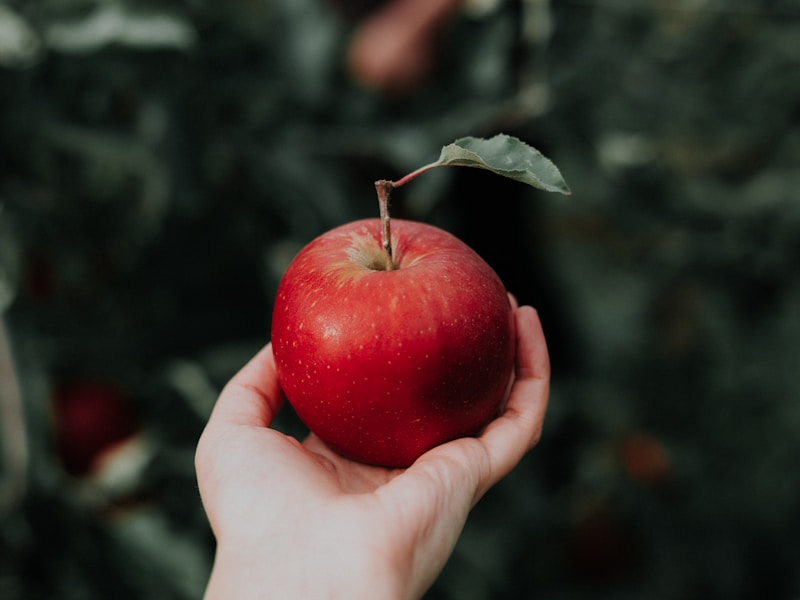 Apples