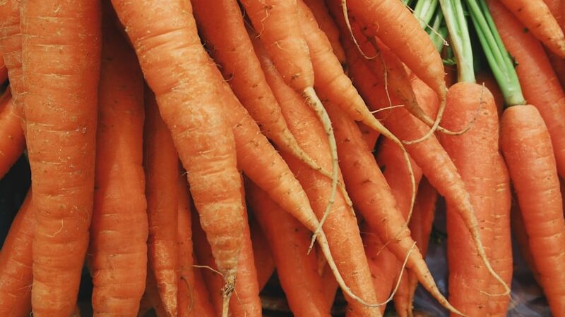 Carrots