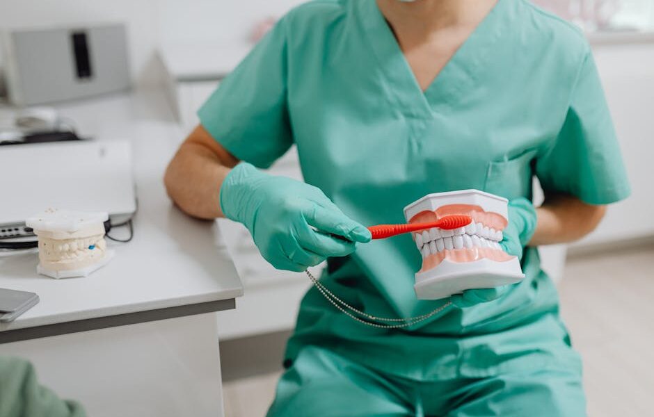 A dental professional demonstrating proper toothbrush technique with a dental model.