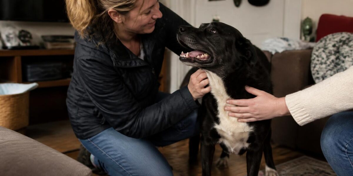 Adopt Don’t Shop: Why Rescue Pets Make the Best Companions