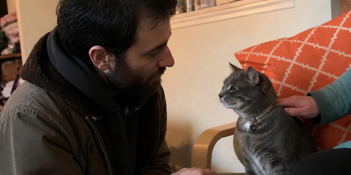 Adopting a Cat With Feline Herpes Virus: Flare Management