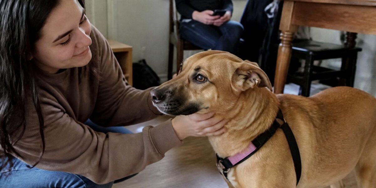 Adopting a Deaf Dog: Hand Signals and Daily Routine